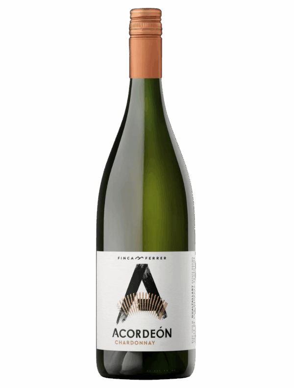 Finca Ferrer Acórdeon Chardonnay